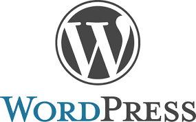 wordpress website